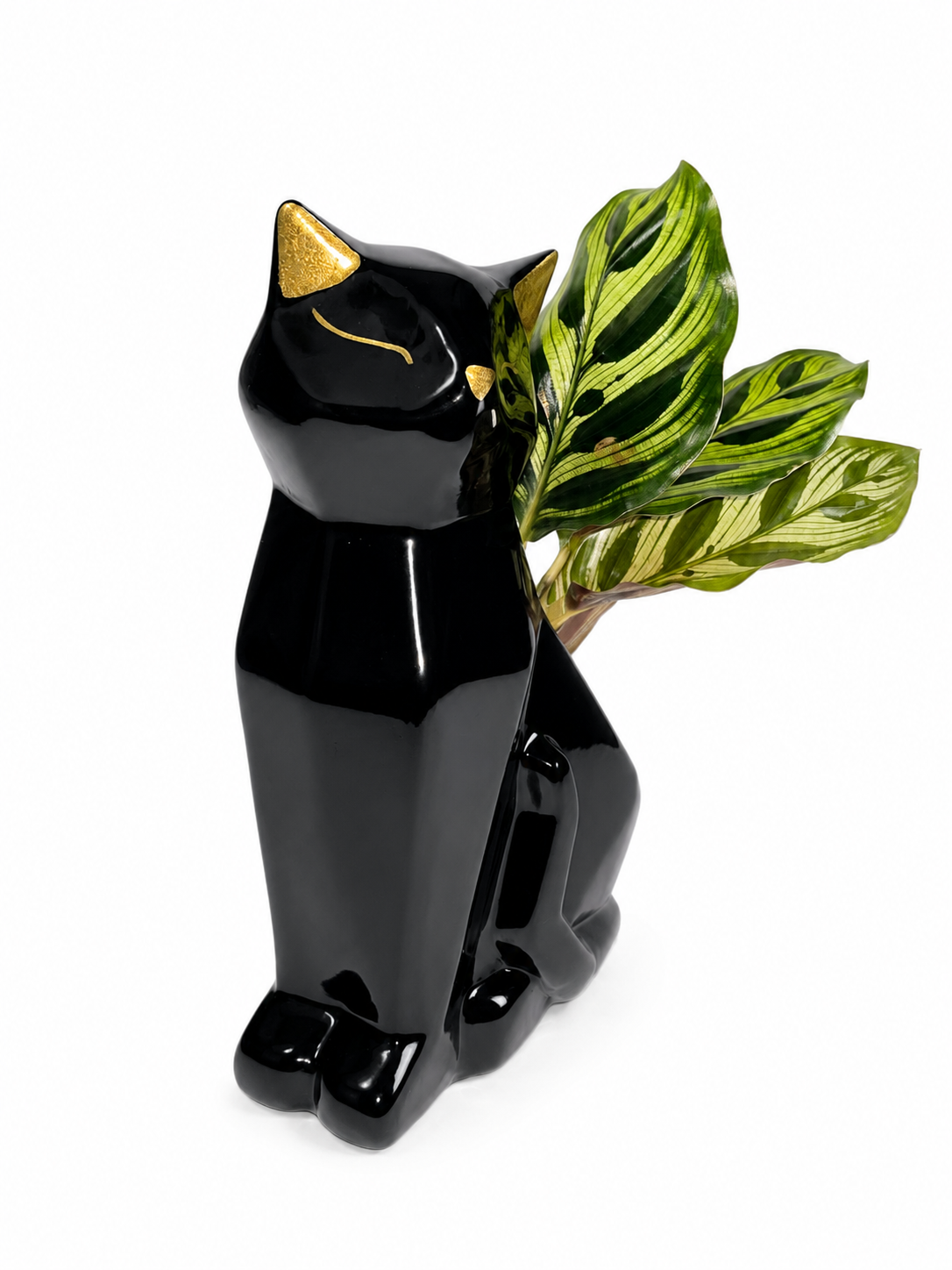 Gatos Geometricos