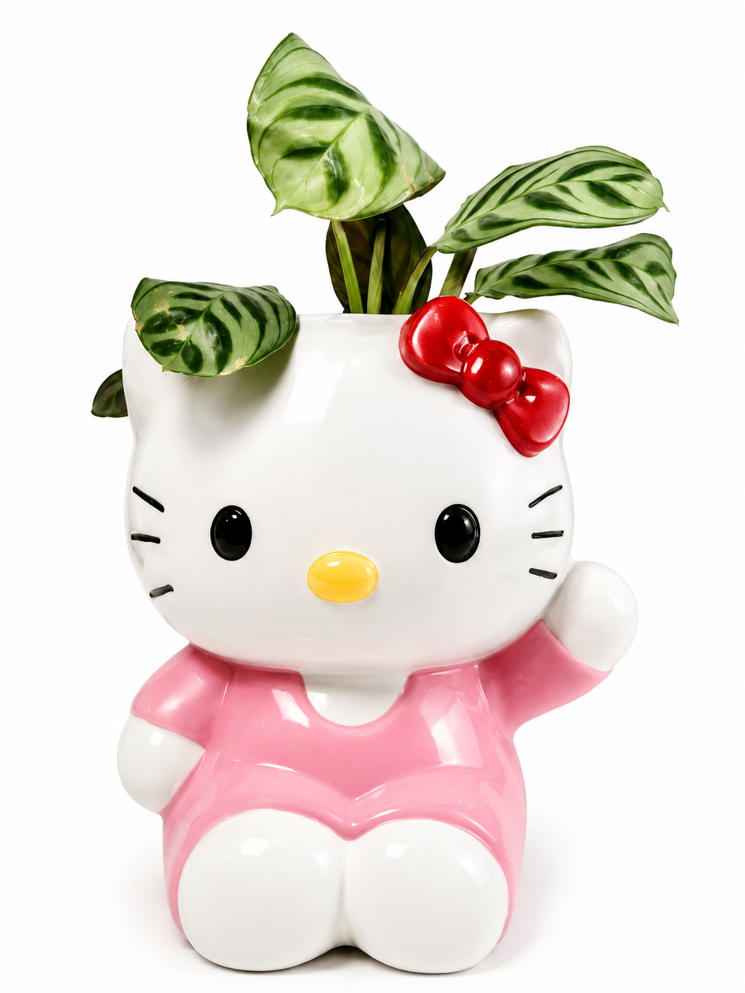 Kitty