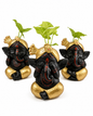 Juego de Ganesh