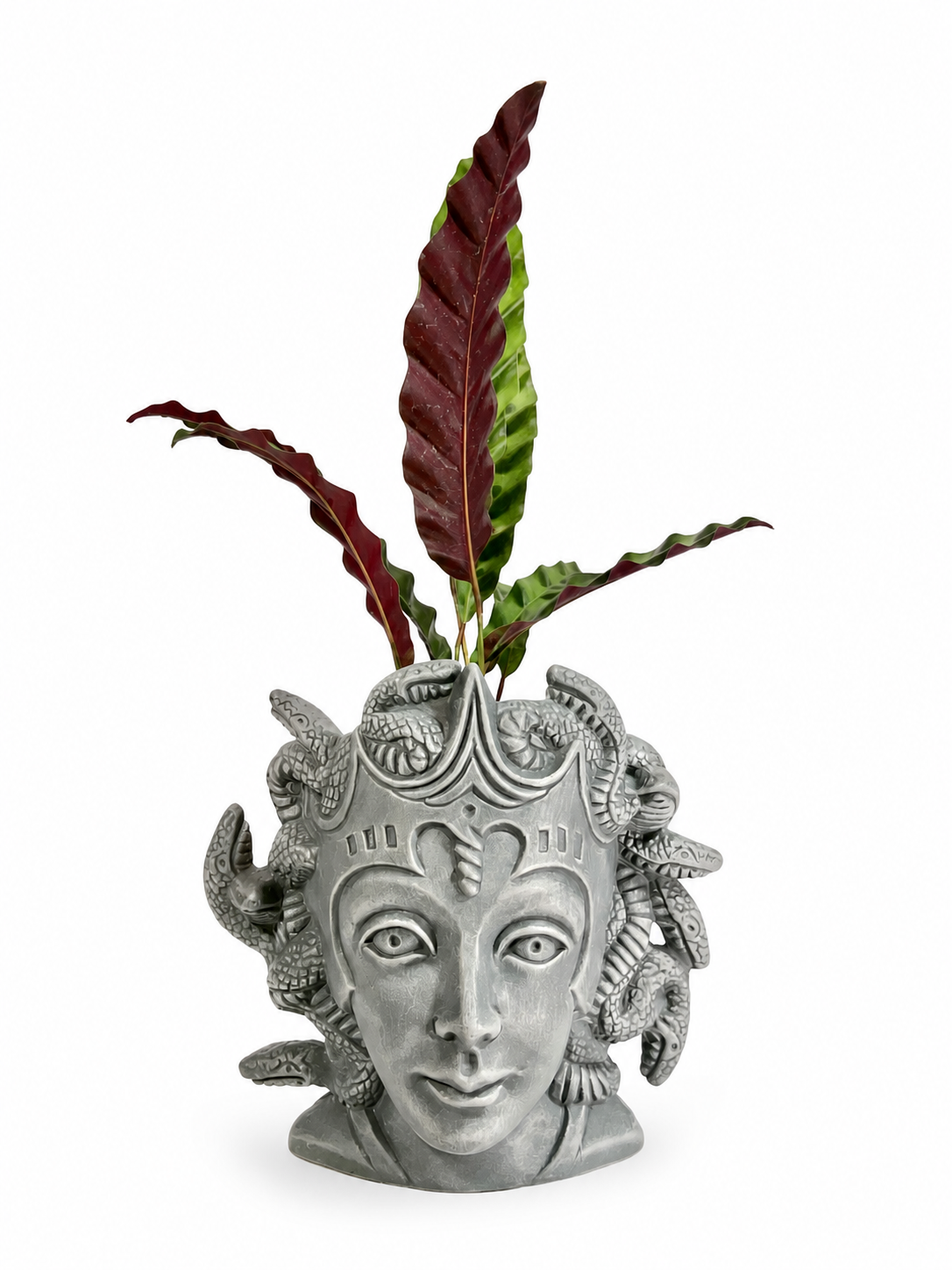 Medusa