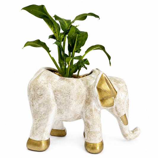 Elefante Grande Dorado