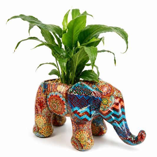 ELEFANTE JUMBO MANDALA