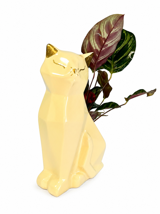 Gatos Geometricos