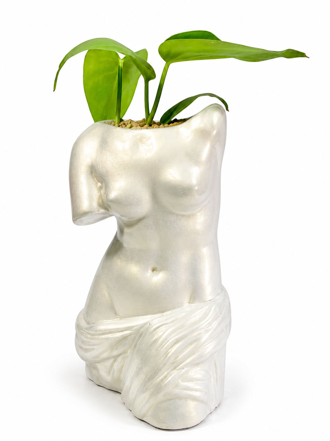 TORSO DE VENUS CHICO